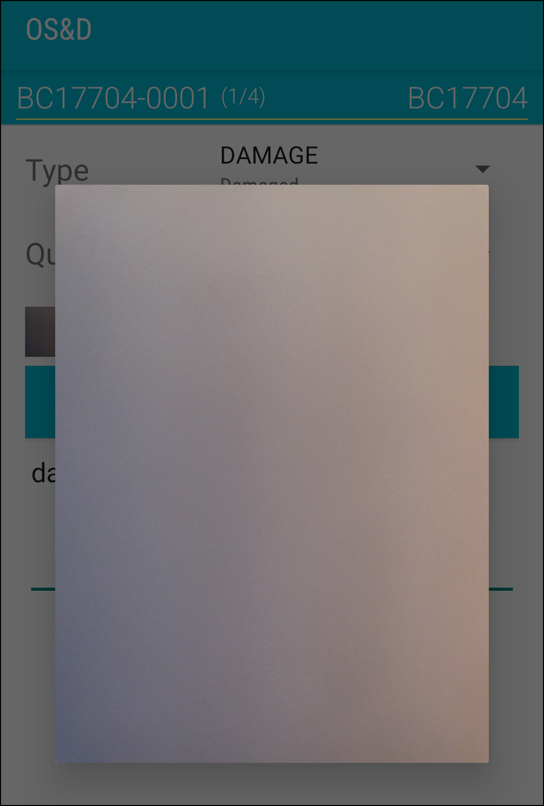 A close up view of the photo from the thumbnail.