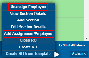 The Open Repair view Actions menu with the same two options available