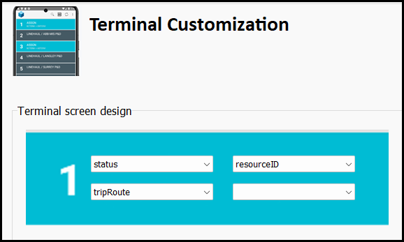 The Terminal Customization page.