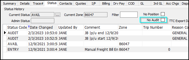 The No Audit checkbox.